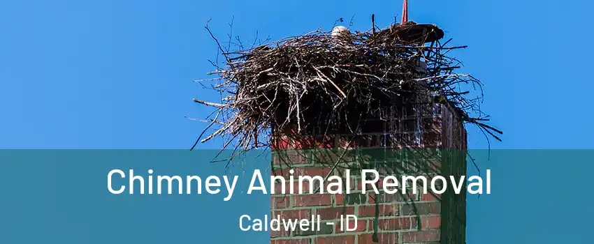 Chimney Animal Removal Caldwell - ID