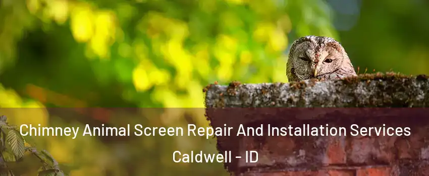  Chimney Animal Screen Repair And Installation Services Caldwell - ID