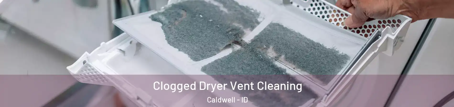  Clogged Dryer Vent Cleaning Caldwell - ID
