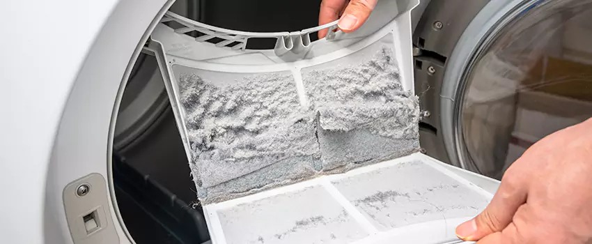 Best Dryer Lint Removal Company in Caldwell, Idaho