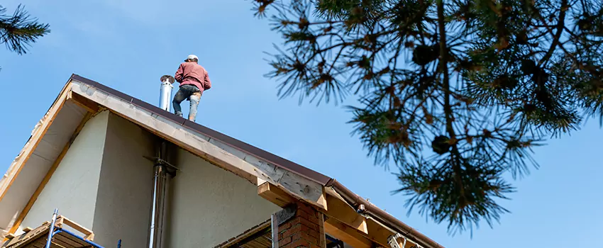 Birds Removal Contractors from Chimney in Caldwell, ID