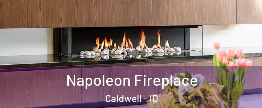 Napoleon Fireplace Caldwell - ID